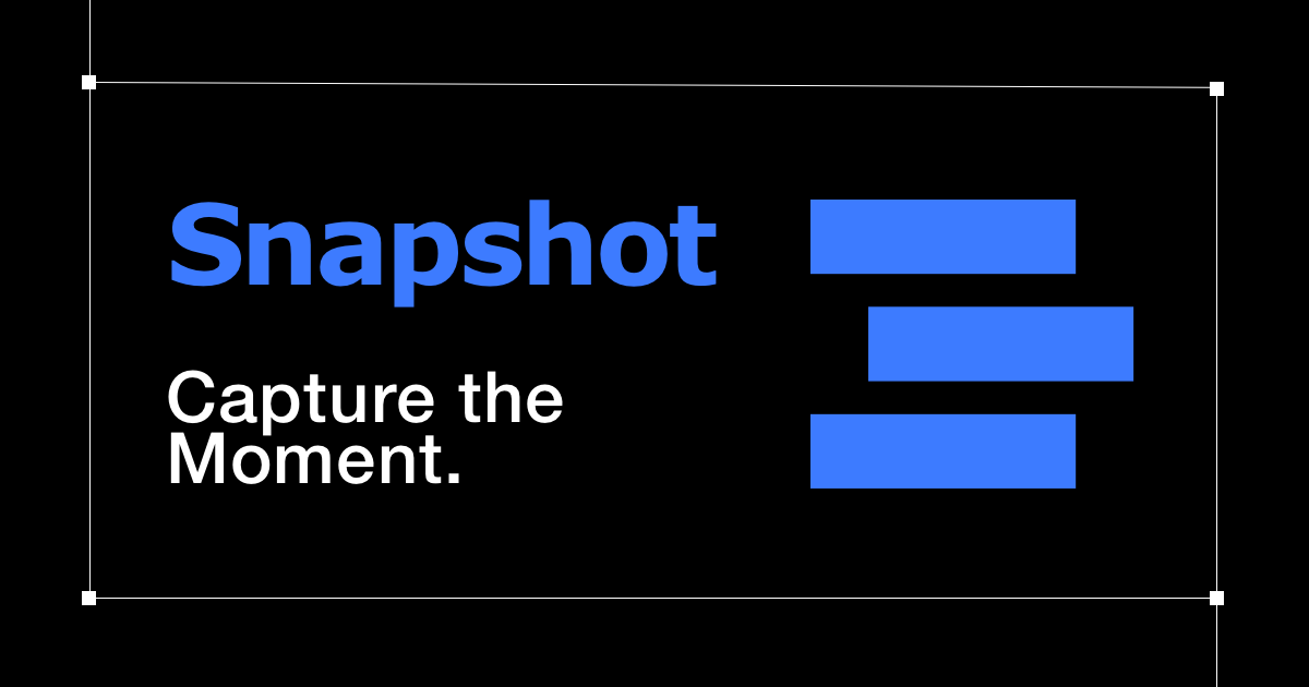 Snapshot preview